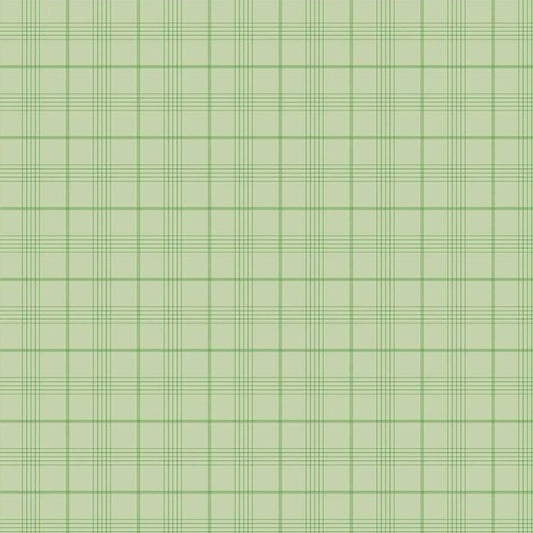 Riley Blake - Peter Rabbit™ & Friends Plaid Fern