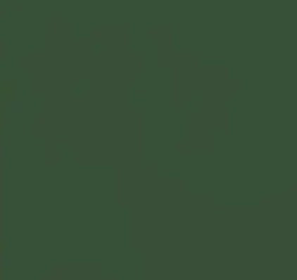 Free spirit- Solid - Evergreen