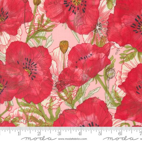 Robin Pickens Superbloom Carnation 48781-19 Moda quilting fabric