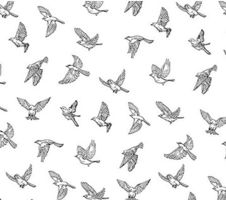 Northcott Nature's Sketchbook Birds In Flight 28533-10 quilting cotton fabric