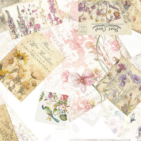 QT Fabrics Birdsong Bird Collage White cotton