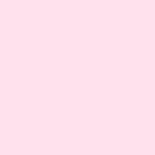 Tula Pink Designer Essentials Solid Giggles quilting cotton