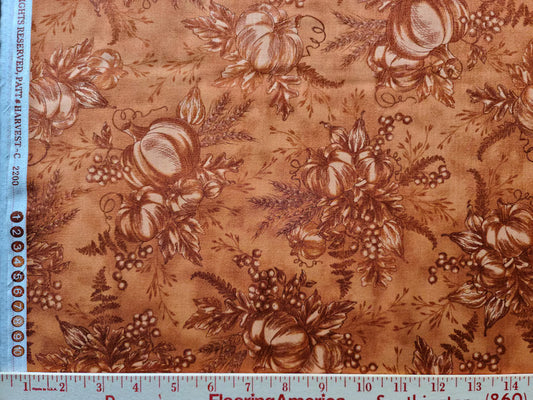 Harvest-C2200 Pumpkin