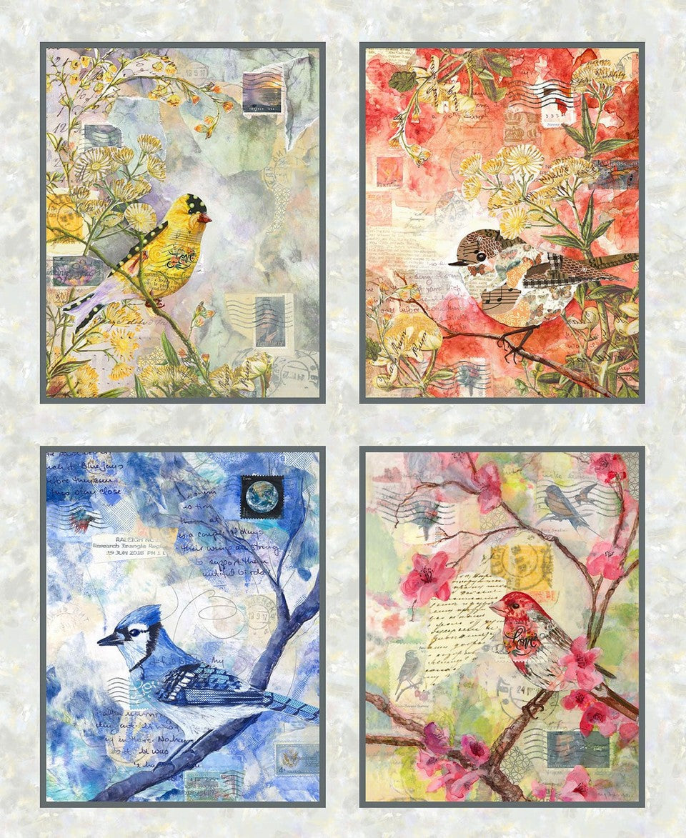 Studio E - Air Mail - Nancy Smith - 8506-19 Mist