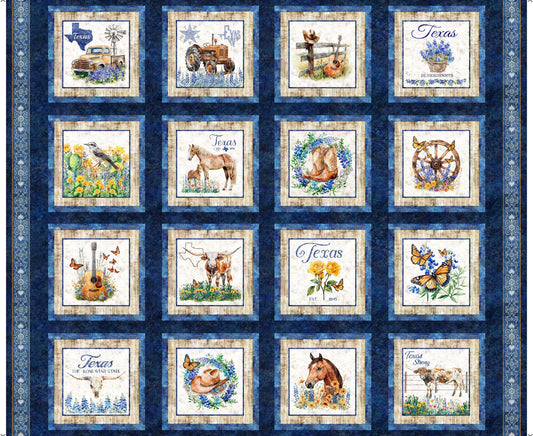 All Texas Shop Hop 2026 - Texas Picture Patches Navy 31791-N