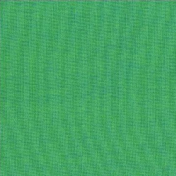 40171-10 Green Blue Timeless Treasures quilting fabric