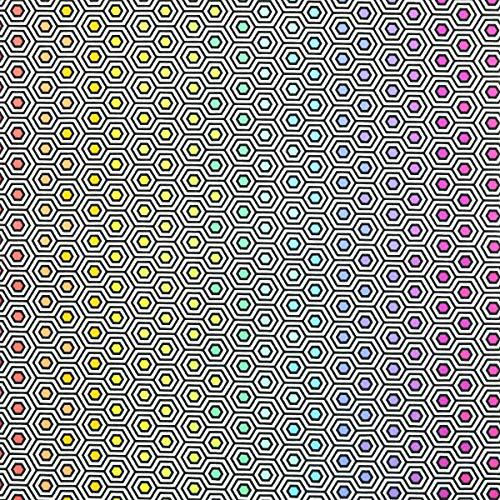 Tula Pink - Hexy Rainbow - Ink