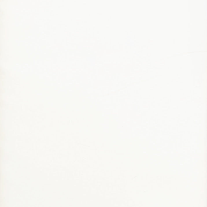 Island Batik Foundations Texture Solid White