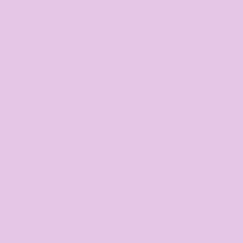 Tula Pink Designer Essentials Solid Dazzle quilting cotton