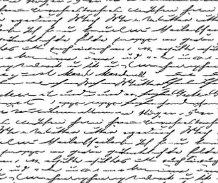 Northcott Nature's Sketchbook Script 28535-10 quilting cotton fabric