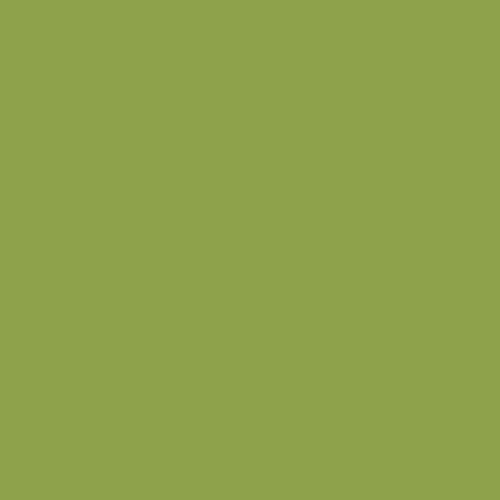 Tula Pink Dragon's Breath Matcha green solid quilting cotton Free Spirit