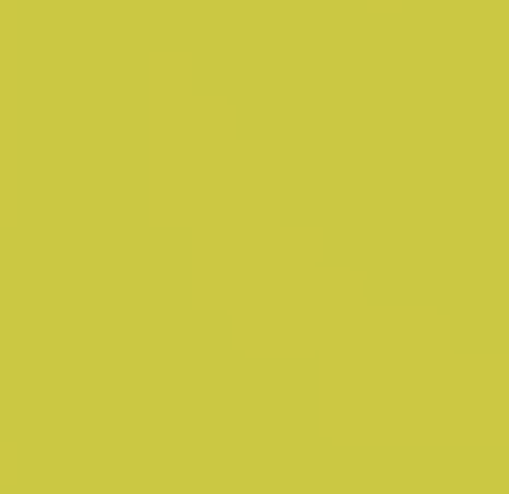 Free Spirit Solid Citrine yellow gold solid quilting cotton