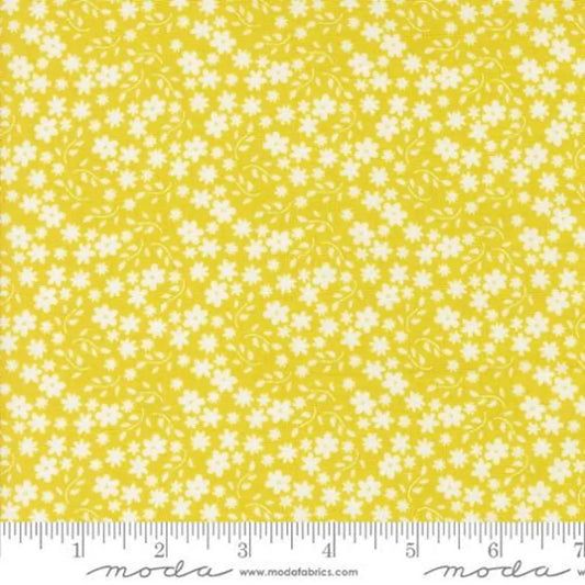 Moda Raspberry Summers Summer Sherri Chelsi quilting fabric