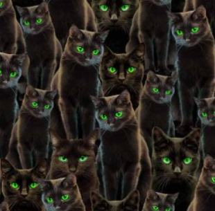Michael Miller - Nightmare at Halloween - Halloween Cats - DDC12734-BLAC-D