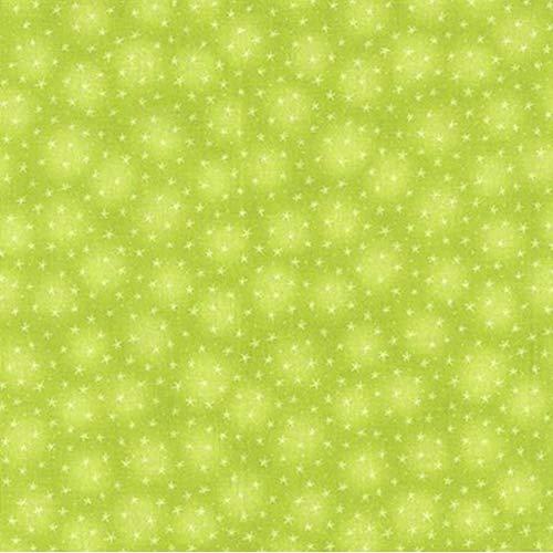 Blank Starlet Texture Kiwi quilting fabric