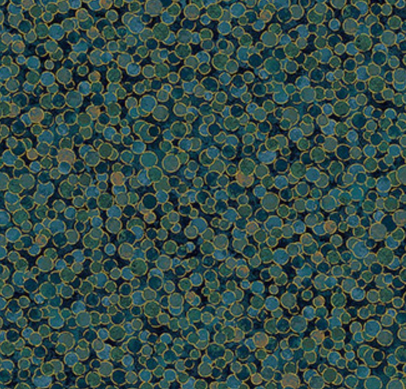 Northcott Shimmer Basics Dawn 27895M-68 quilting cotton