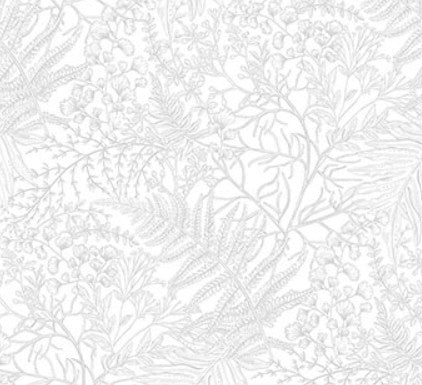Northcott Nature's Sketchbook Fern 28528-100 quilting cotton fabric