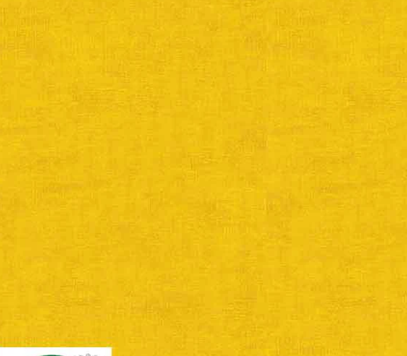 Blank Quilting Melange Basics 4509-201 citrus tone-on-tone blender cotton