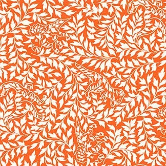 Find Dino, Orange