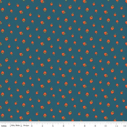 Riley Blake Serendipity 2 Strawberries Stargazer quilting cotton