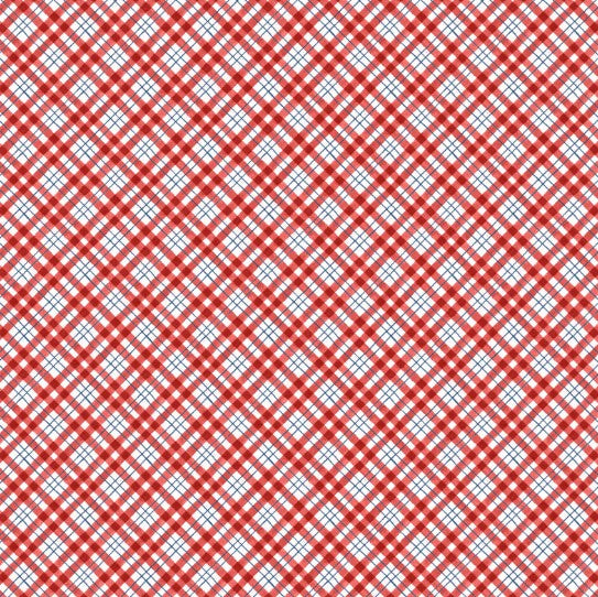 Lumin - Patchwork Picnic W105-018-306 Red - Diagonal Plaid