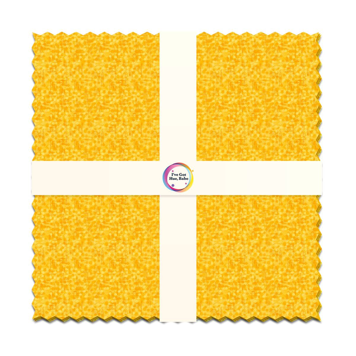 Sunny Side Up 10 inch Squares I ve Got Hue Babe precut