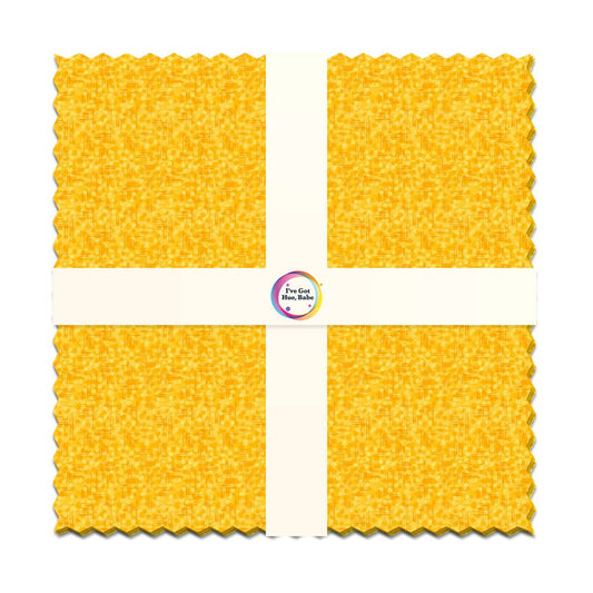 Sunny Side Up 10 inch Squares I ve Got Hue Babe precut