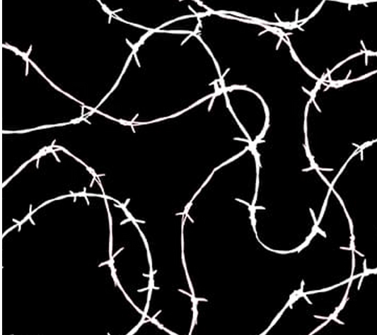 Saddle Up to the Disco 4371-99 Black cotton quilting fabric