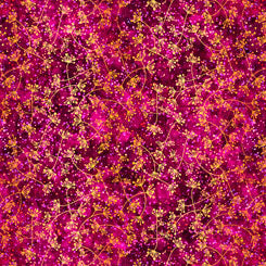 QT Pandora 27189-M Multi quilting cotton