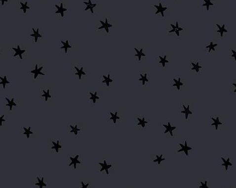 Ruby Star Starry New Charcoal RS4109-91 quilting cotton