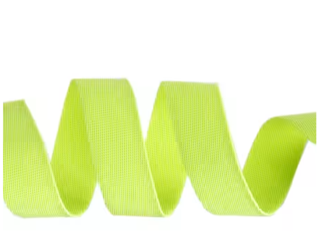 Tula Pink EverGlow Webbing Moonbeam/Neon 1in x 16 yds