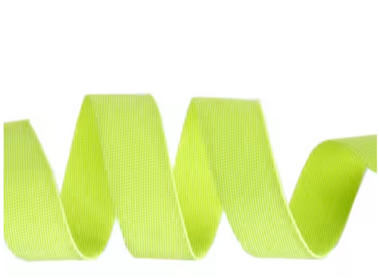 Tula Pink EverGlow Webbing Moonbeam/Neon 1in x 16 yds